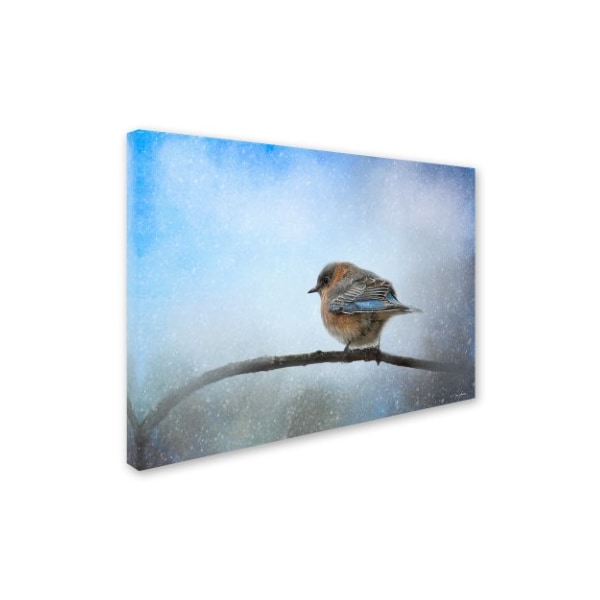 Jai Johnson 'Bluebird In The Snow' Canvas Art,35x47